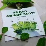 Е.Панфилова Почему лягушки поют? в твердом переплете