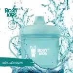 Кружка-поильник с носиком ROXY-KIDS Ментоловый 9+ мес 180 мл